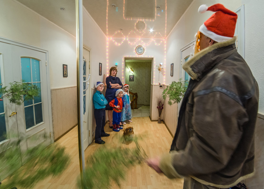 Когда Дед Мороз ёлку в дом к нам не принёс  (серия из 11 фото) - Ринат Валиев