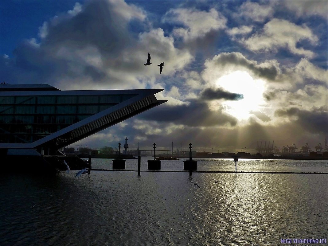 Hamburg. Dockland - Nina Yudicheva