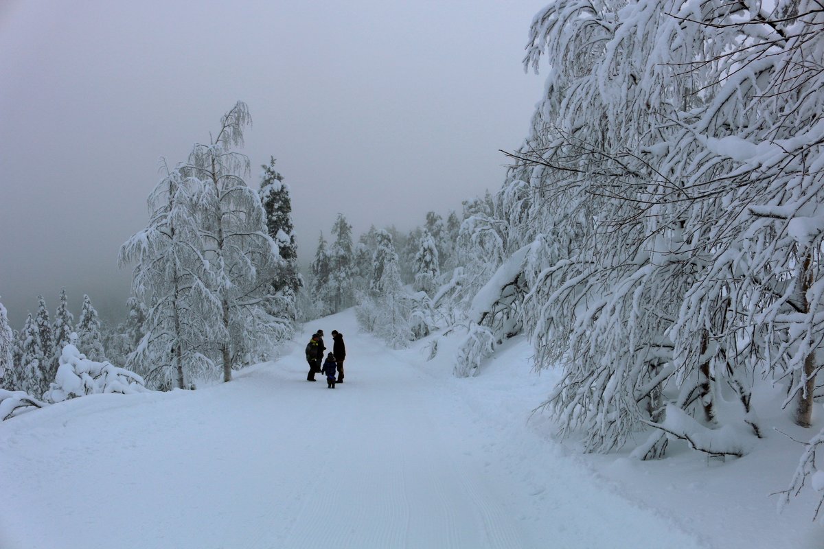 Прогулки по сказочной зиме - Ольга 