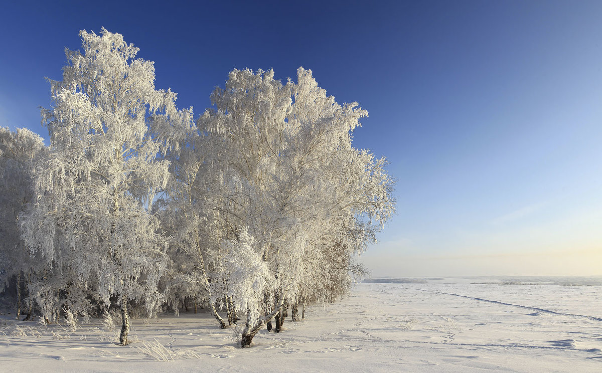 Морозный январь 4 - Сергей Жуков