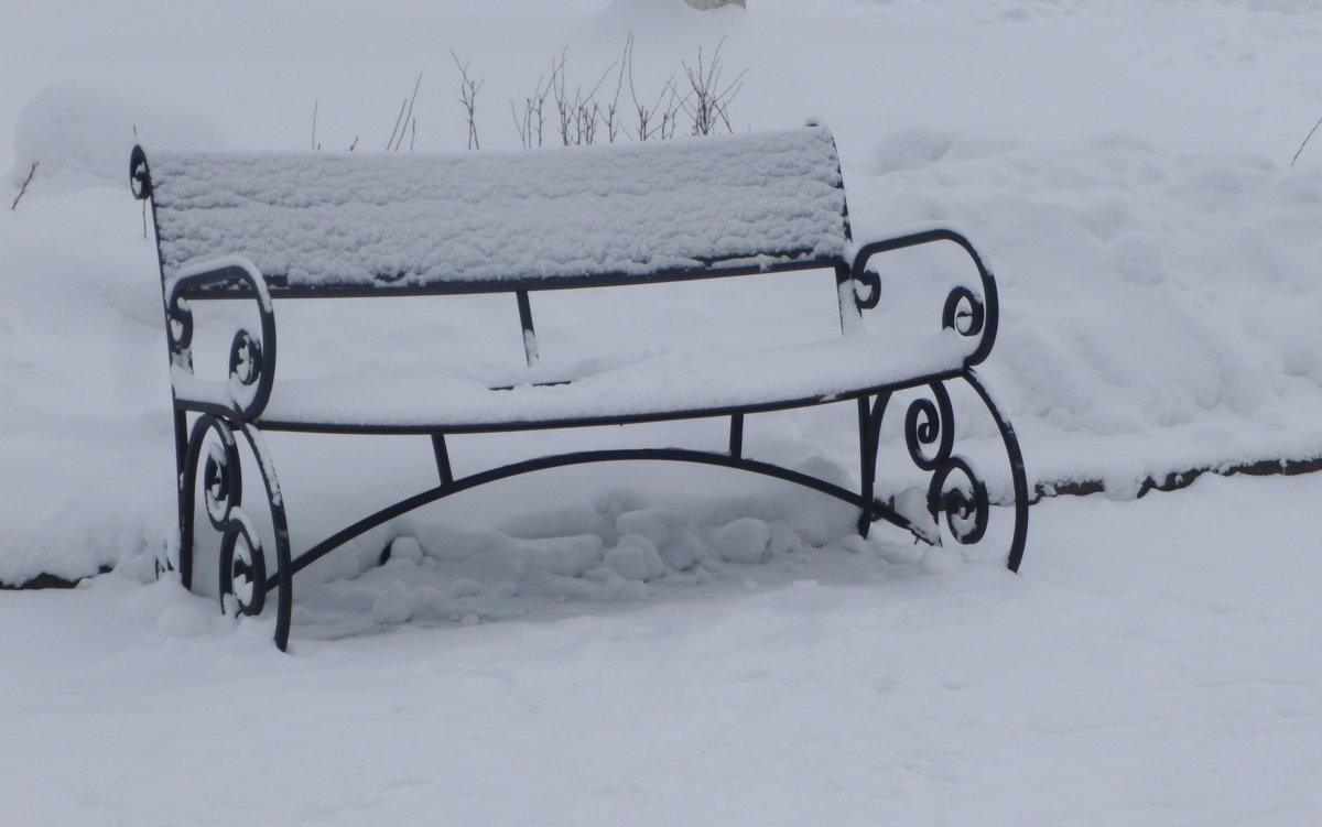 В парке старая скамейка впала в дрёму зимних  дней, белоснежною шубейкой серебрится снег на ней. - Galina Leskova