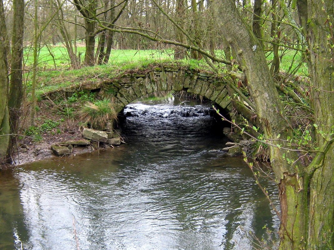 небольшая река и небольшой, старый мост - Heinz Thorns