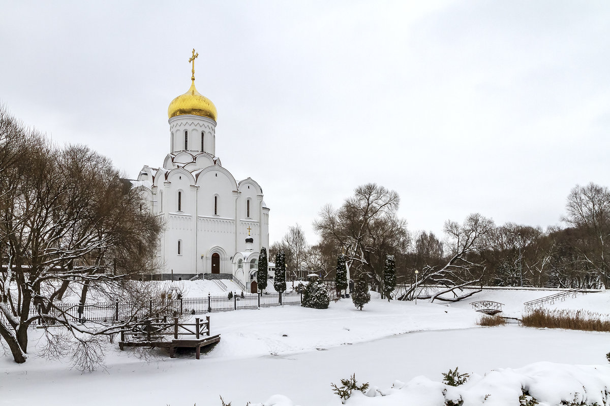 *** - Николай Климович