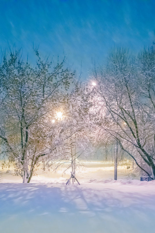 Зима в Москве - Игорь Герман