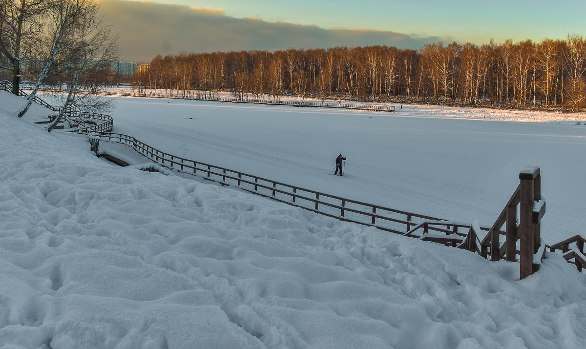 Прогулки в Зимнем Парке - юрий поляков