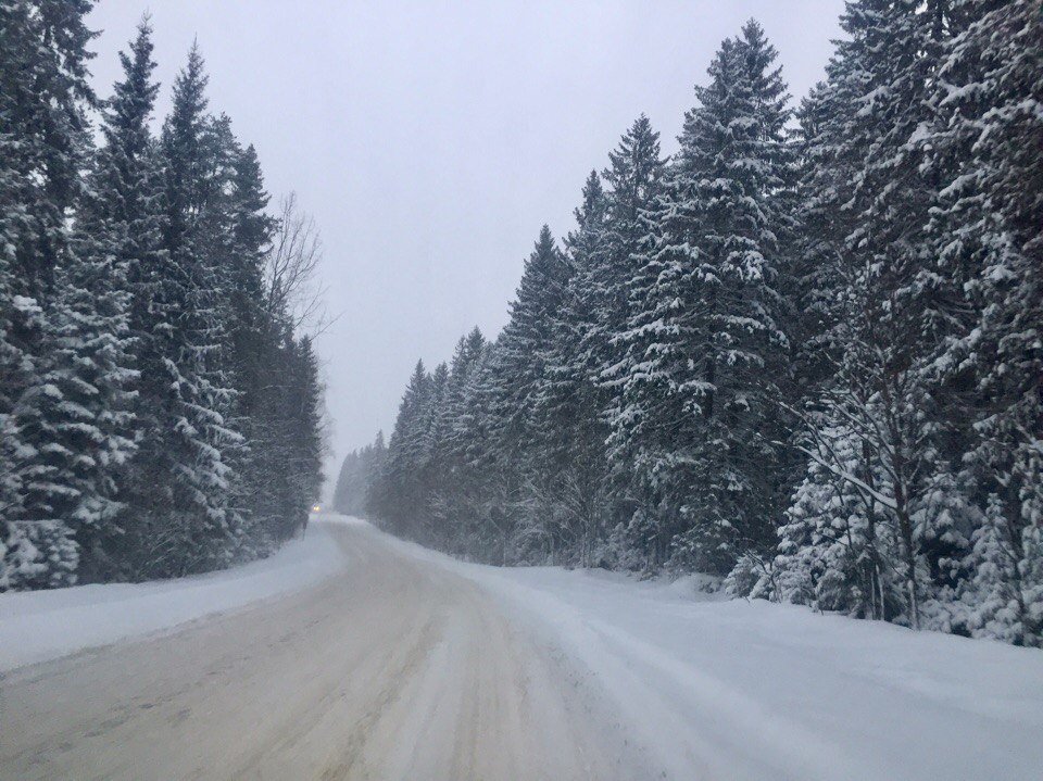 Зимняя дорога домой - Ирэн 