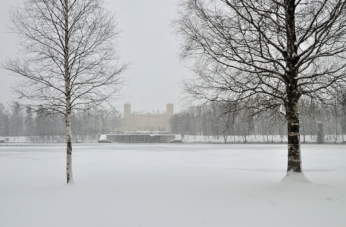 Вид на Гатчинский дворец в метель через Белое озеро - Елена Смирнова