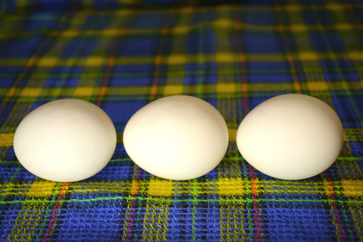 яйца на полотенце - Танзиля Завьялова