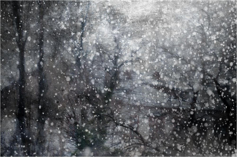 Падал ̶п̶р̶о̶ш̶л̶о̶г̶о̶д̶н̶и̶й̶ снег этого года - Ольга Мальцева