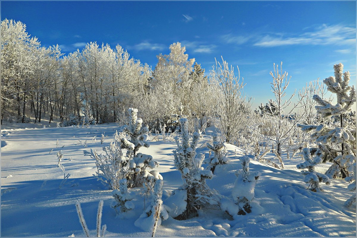 Морозный день - Leonid Rutov