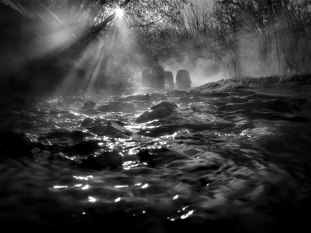 Тёмные воды заката.... - Андрей Войцехов