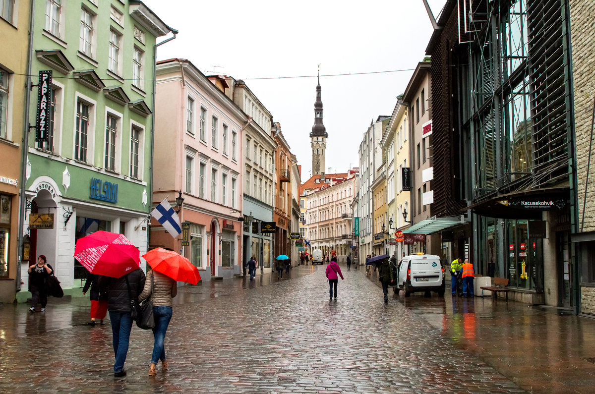 TALLINN - Александр Яковлев