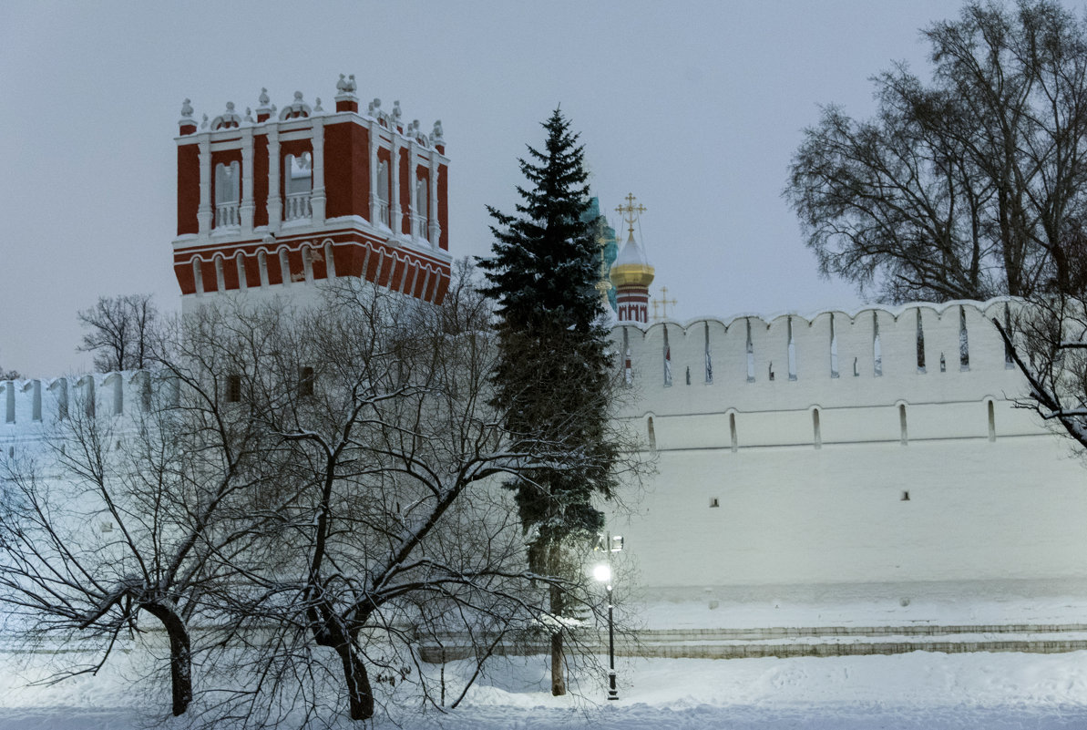 Новодевичий монастырь. - Владимир Безбородов