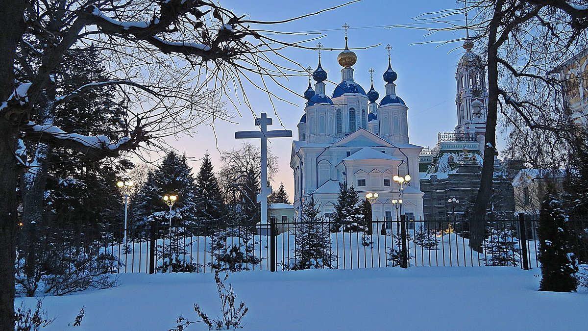 Тамбовские  храмы в  Рождество! - Виталий Селиванов 