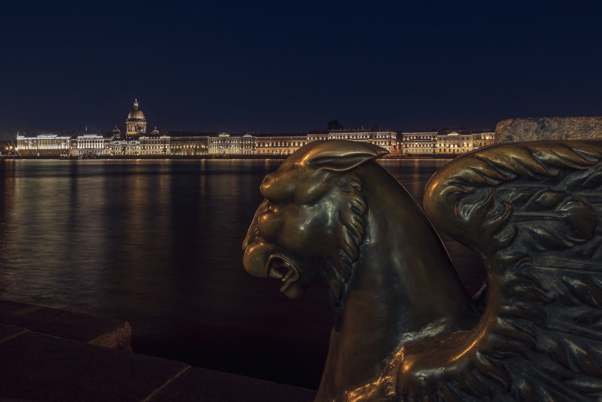 фото грифонов в санкт петербурге