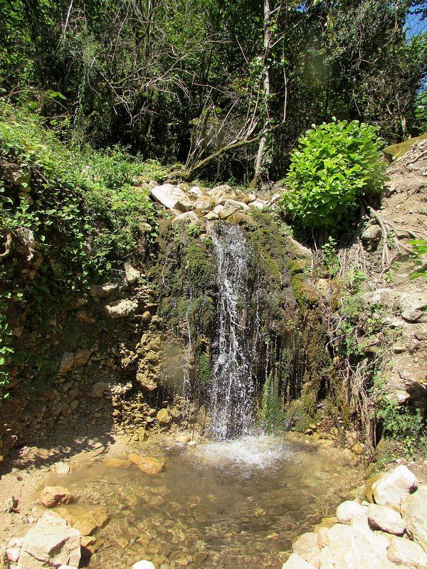 Водопад в Абхазии - Валюша Черкасова