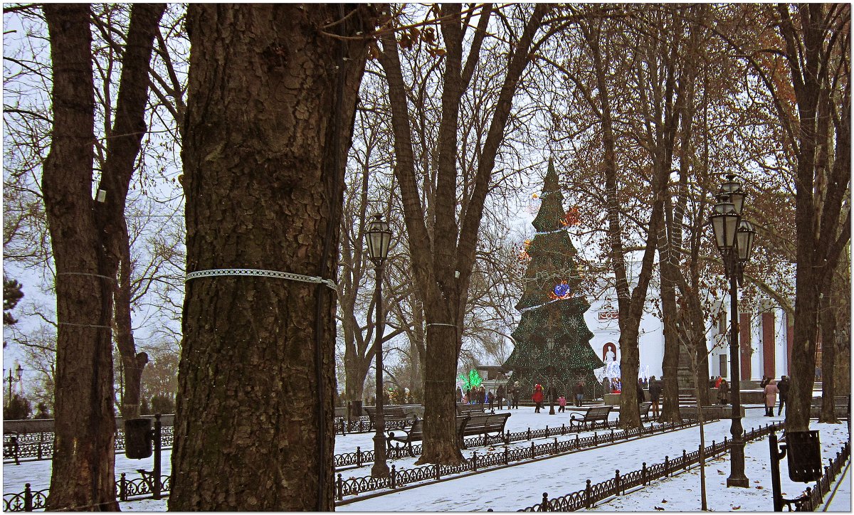 Приморский бульвар - Людмила 