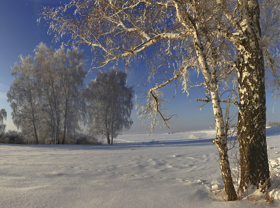 Морозный январь 10 - Сергей Жуков