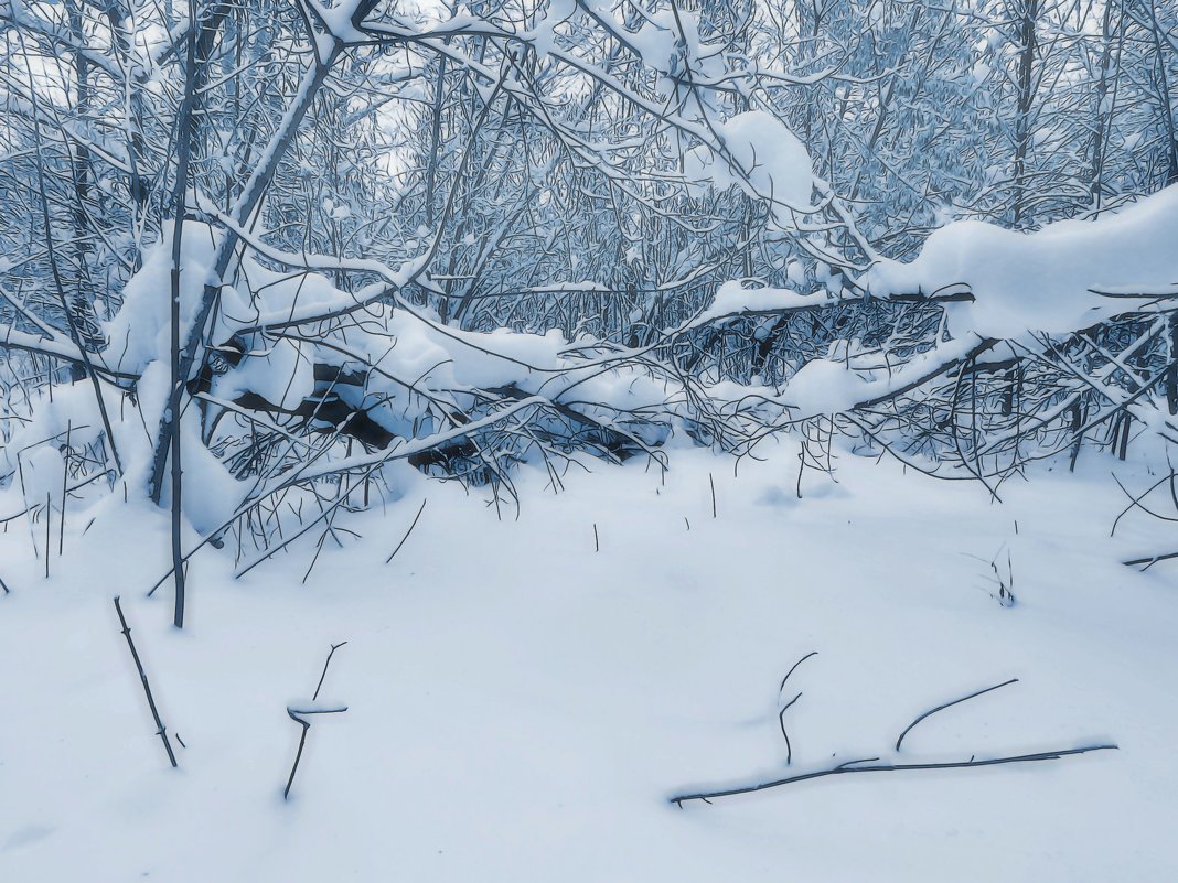 Зима в серебристых тонах - Наталья Лакомова