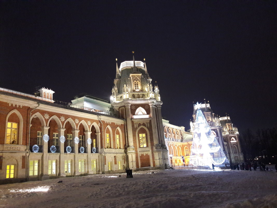 Замок в Царицыно - Яна Михайловна