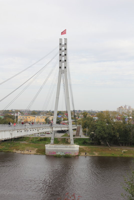 Пешеходный мост - Андрей Мартюшев