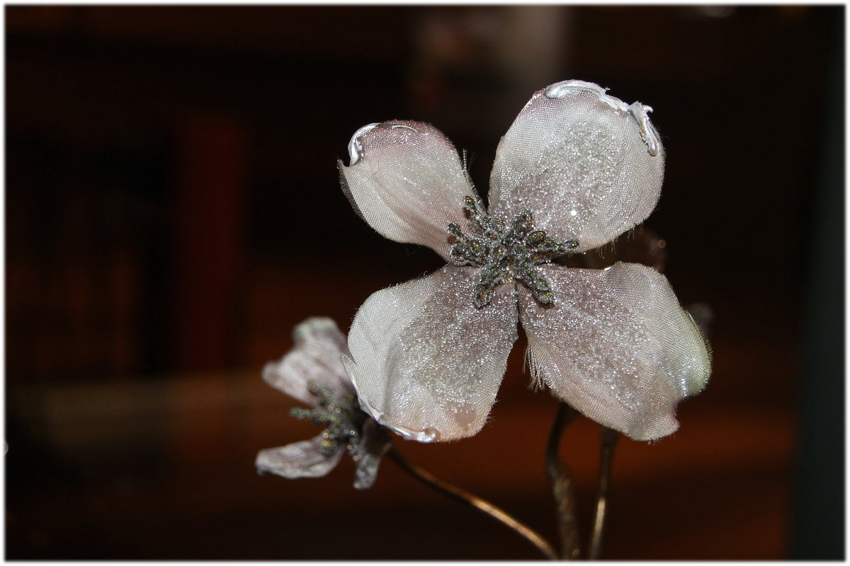 Зимний аленький цветочек..... - Tatiana Markova