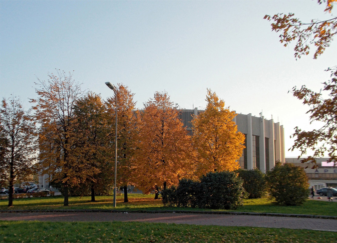 Спортивный комплекс "Юбилейный" и прекрасные осенние деревья - Фотогруппа Весна