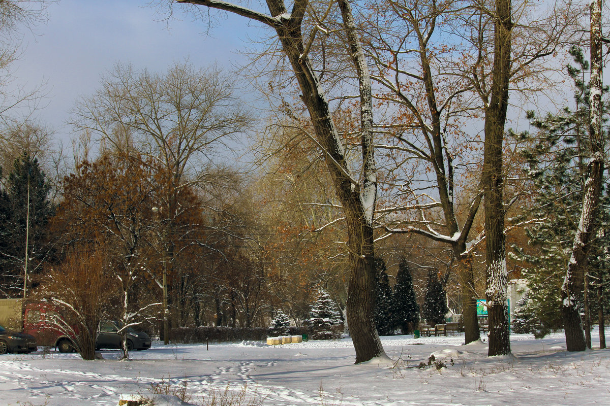 Зимний день в парке. - barsuk lesnoi