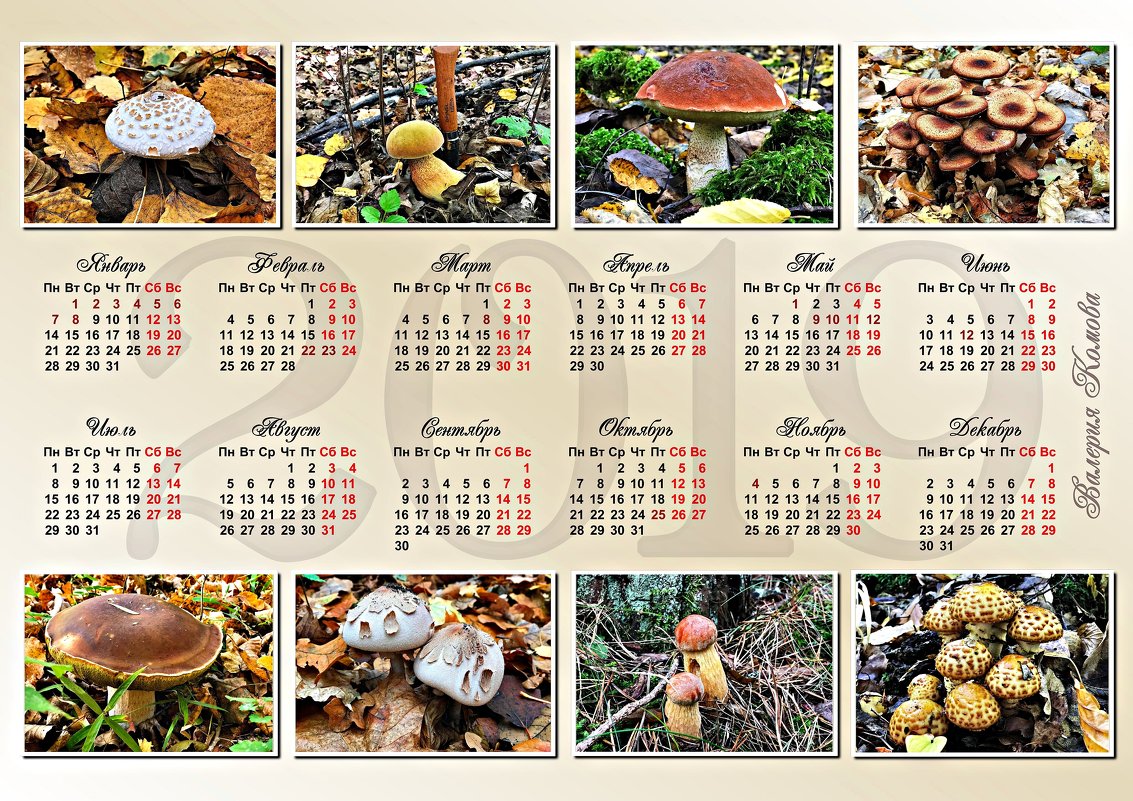 Календарь с моими грибочками. Подарок. - Валерия Комова