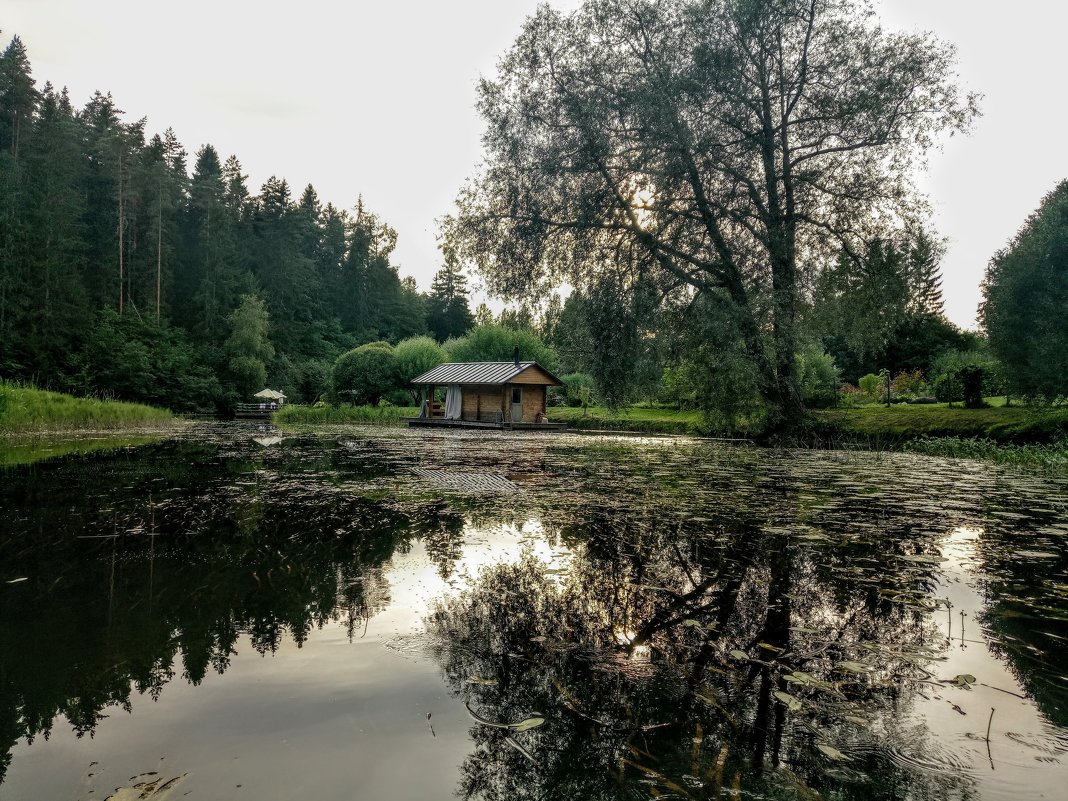 Дом на воде - Дмитрий 