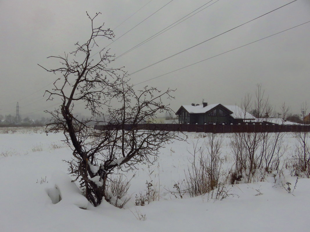 Старый Новый год - экватор зимы - Андрей Лукьянов