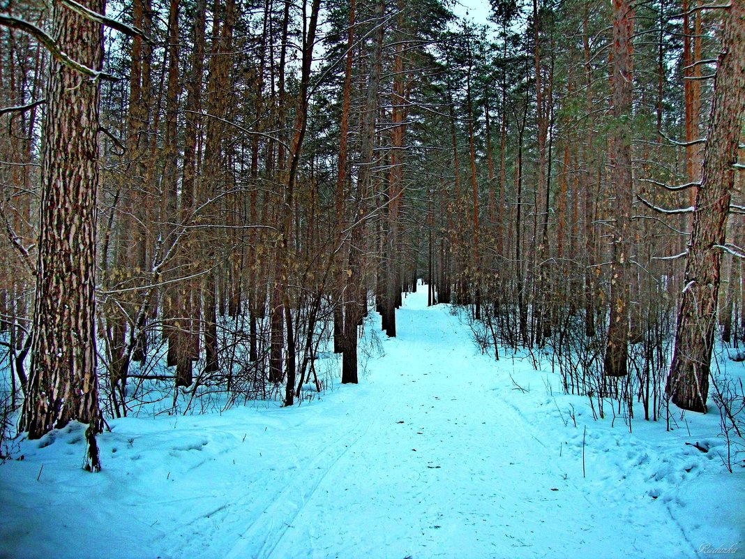Дорожка в лес - Raduzka (Надежда Веркина)