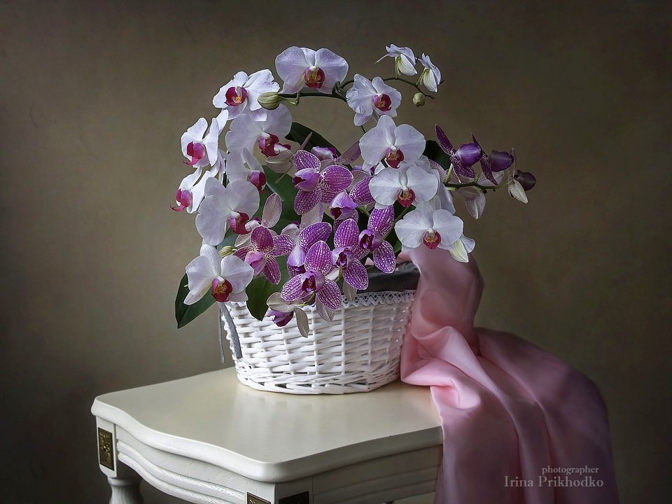 Натюрморт с корзиной орхидей - Ирина Приходько