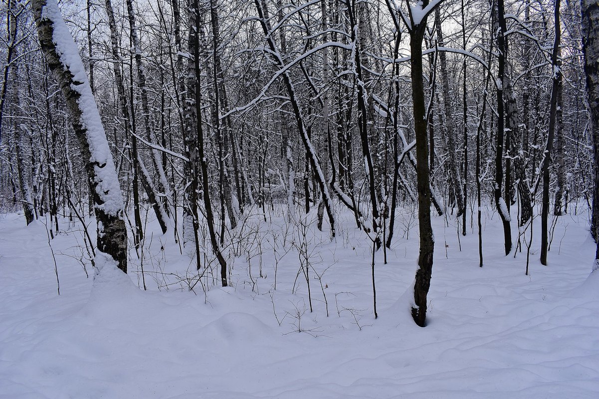 Зимний пейзаж - dindin 