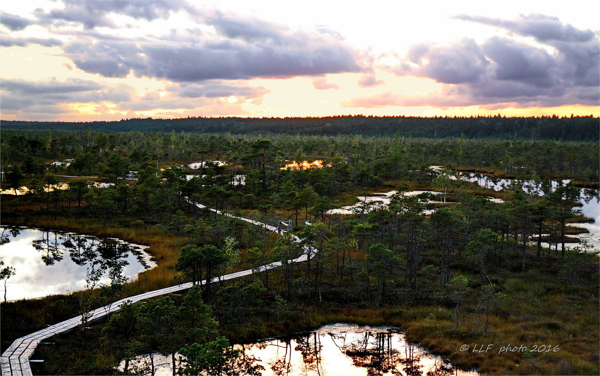 Кемерский национальный парк. Латвия - Liudmila LLF
