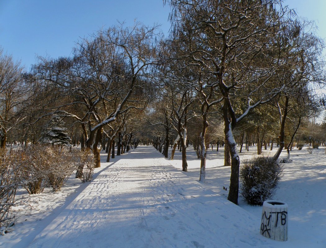 Зима в парке - Александр Рыжов