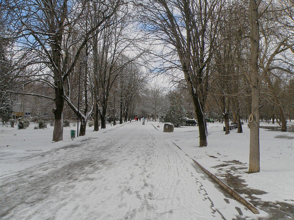 Зимний парк - Александр Рыжов