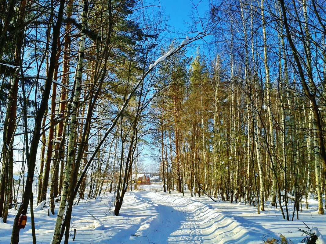 снежная дорога - Владимир 