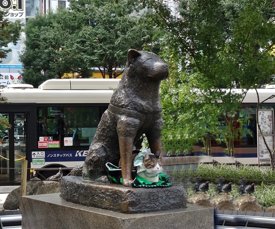 Статуя Хатико Сибуя Токио - wea *