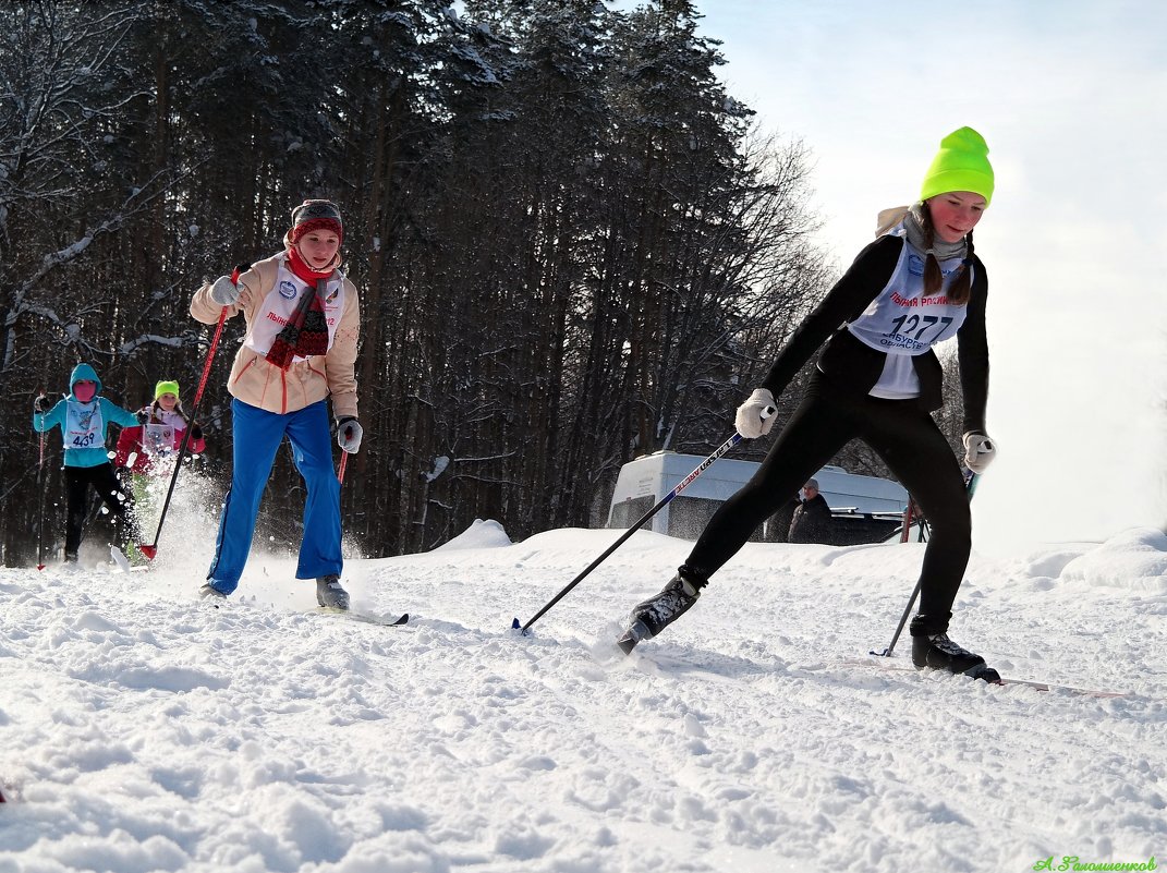 Лыжницы - они как куры: двуногие и несутся..:-) - Андрей Заломленков