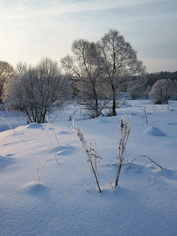 Зима в долине Протвы - Сергей Курников