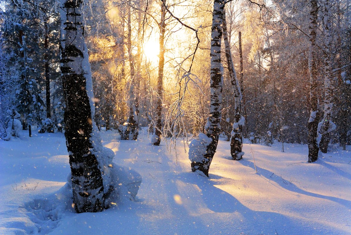 Солнечный снег - ольга 