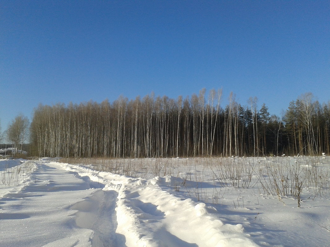 перемело снегом дорогу - Владимир 