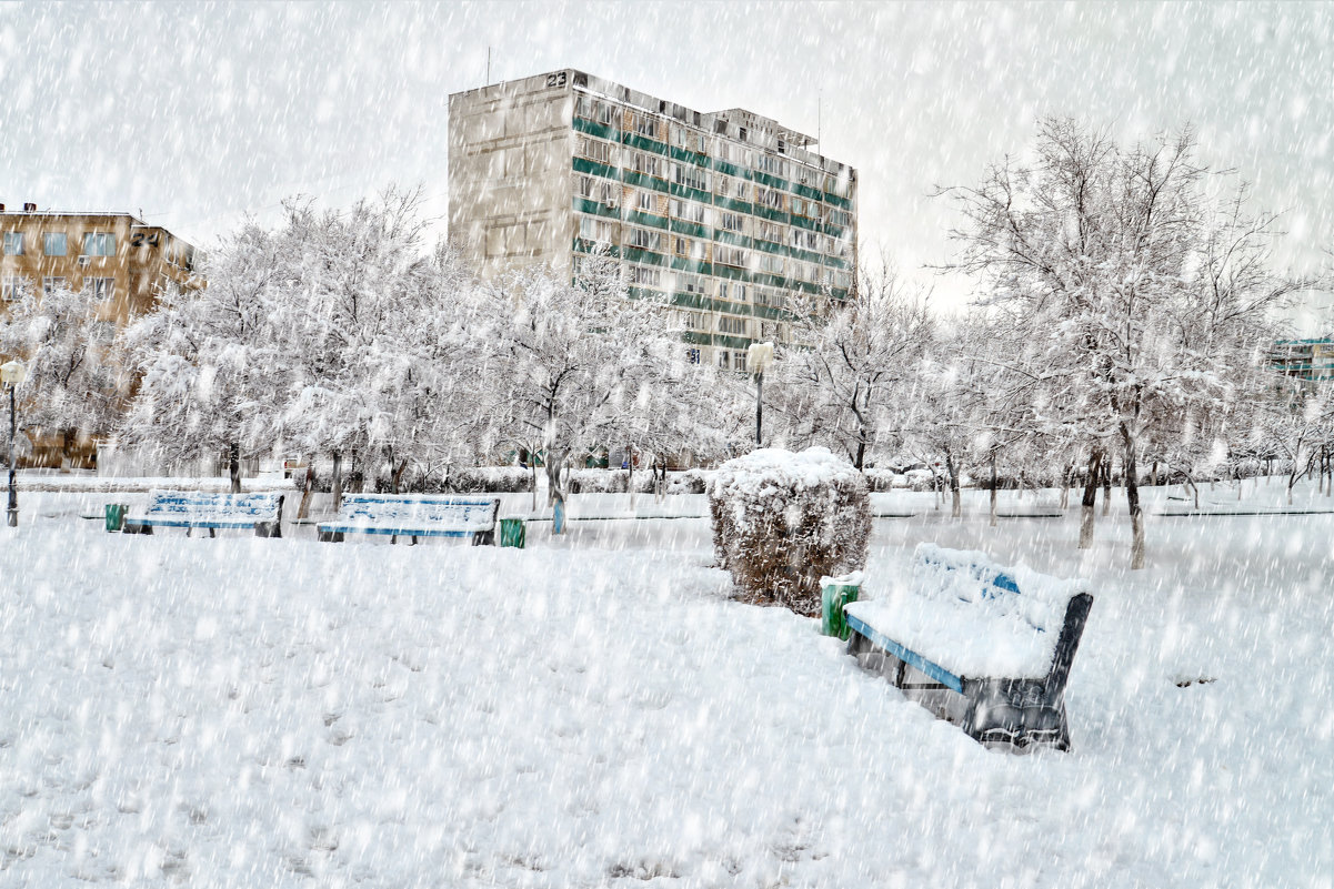 Запуржило, замело - Анатолий Чикчирный