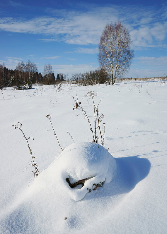 Зимний день в долине Протвы - Сергей Курников