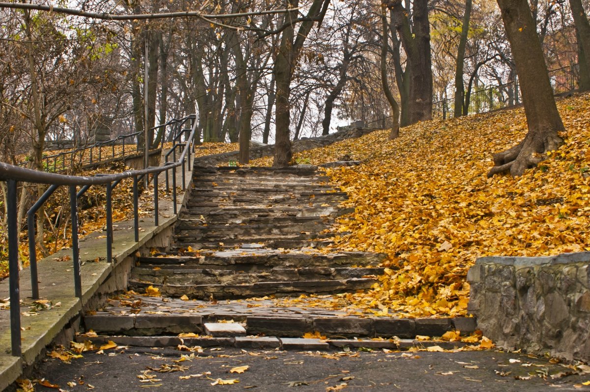 Осенняя лестница - Ольга Винницкая (Olenka)