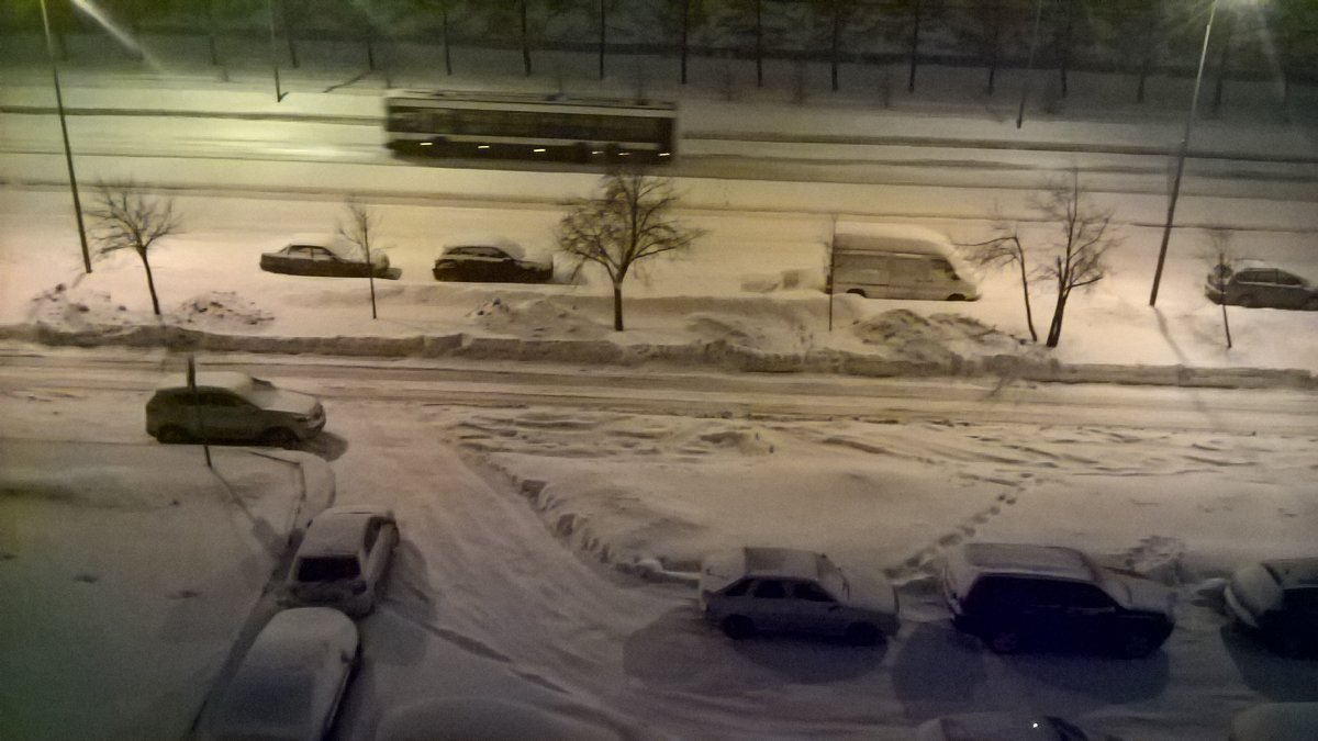 Снегопад в Петербурге сегодня - Митя Дмитрий Митя