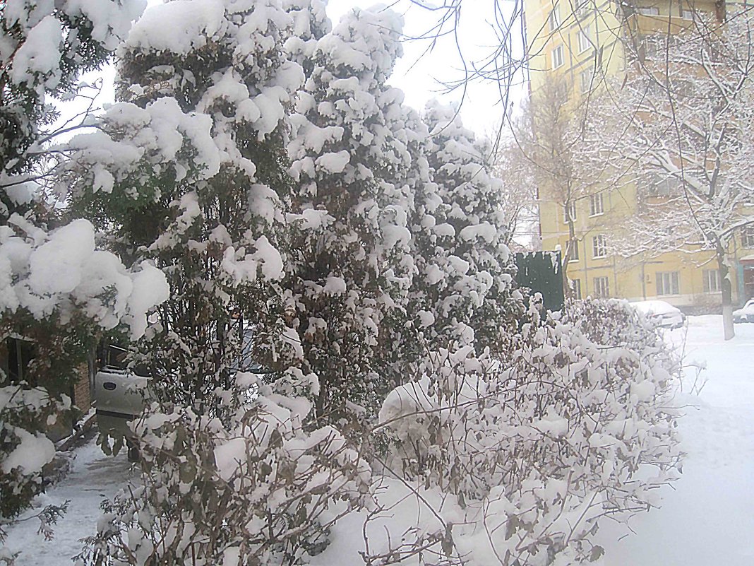 Опять зима, зима, зима.. - Елена Семигина