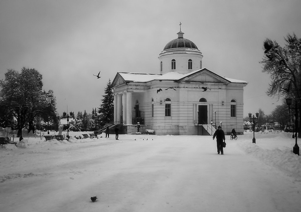 Родной город - Роман Савоцкий