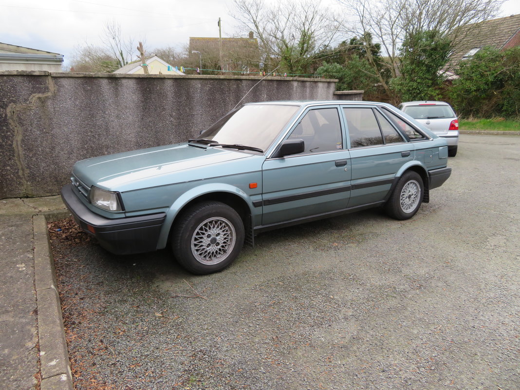 Nissan Bluebird - Natalia Harries